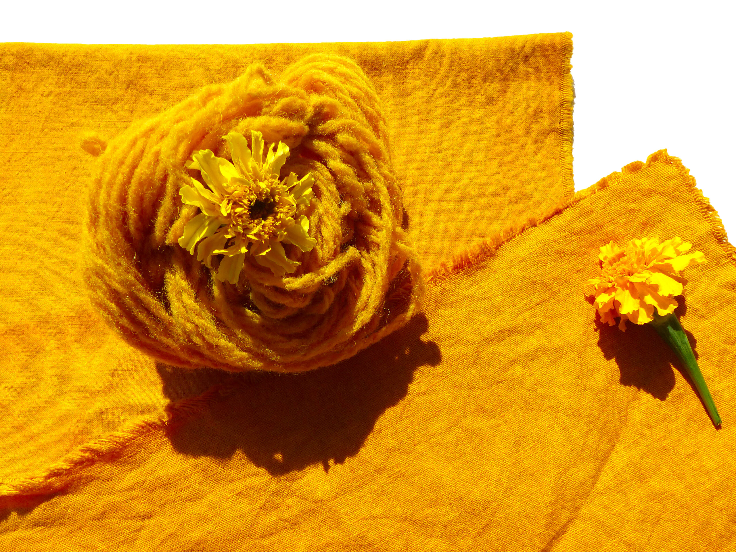 TEINTURE avec rose d'inde sur lin, coton et laine