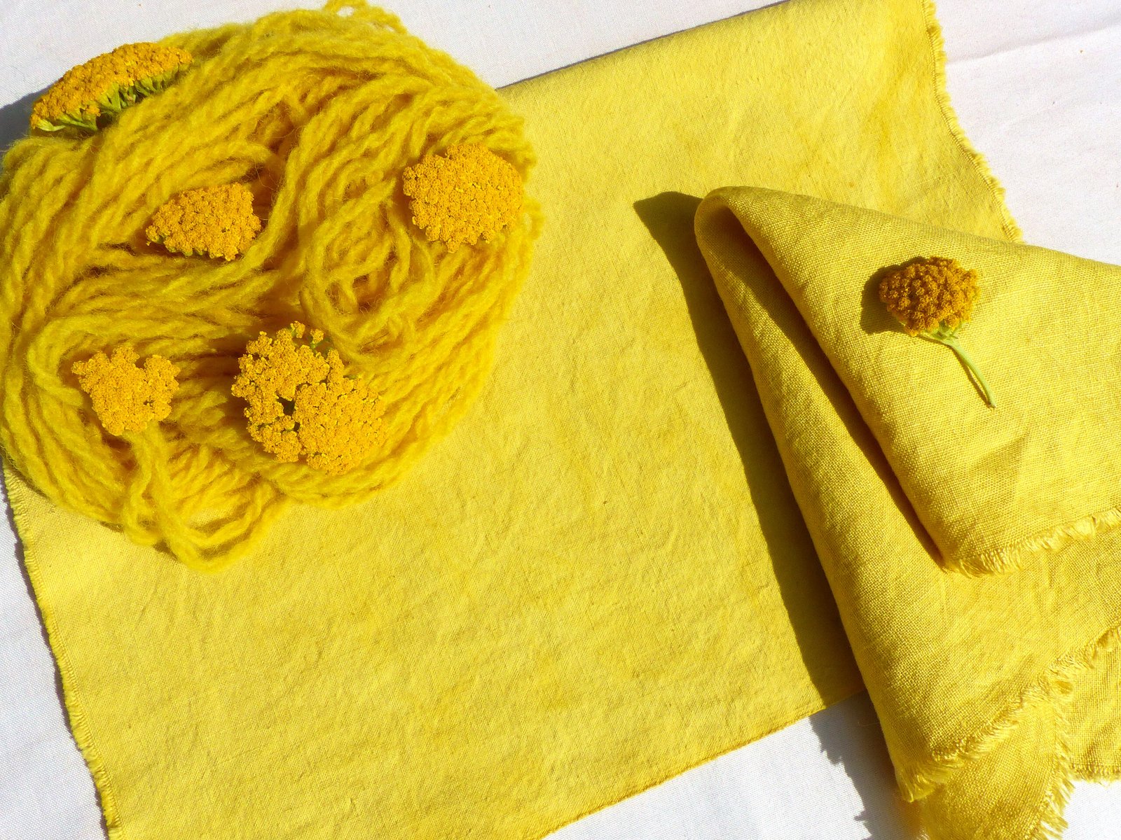 Teinture jaune sur laine, coton et lin avec tanaisie commune
