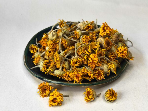 fleurs jaunes d'anthémis tinctoria