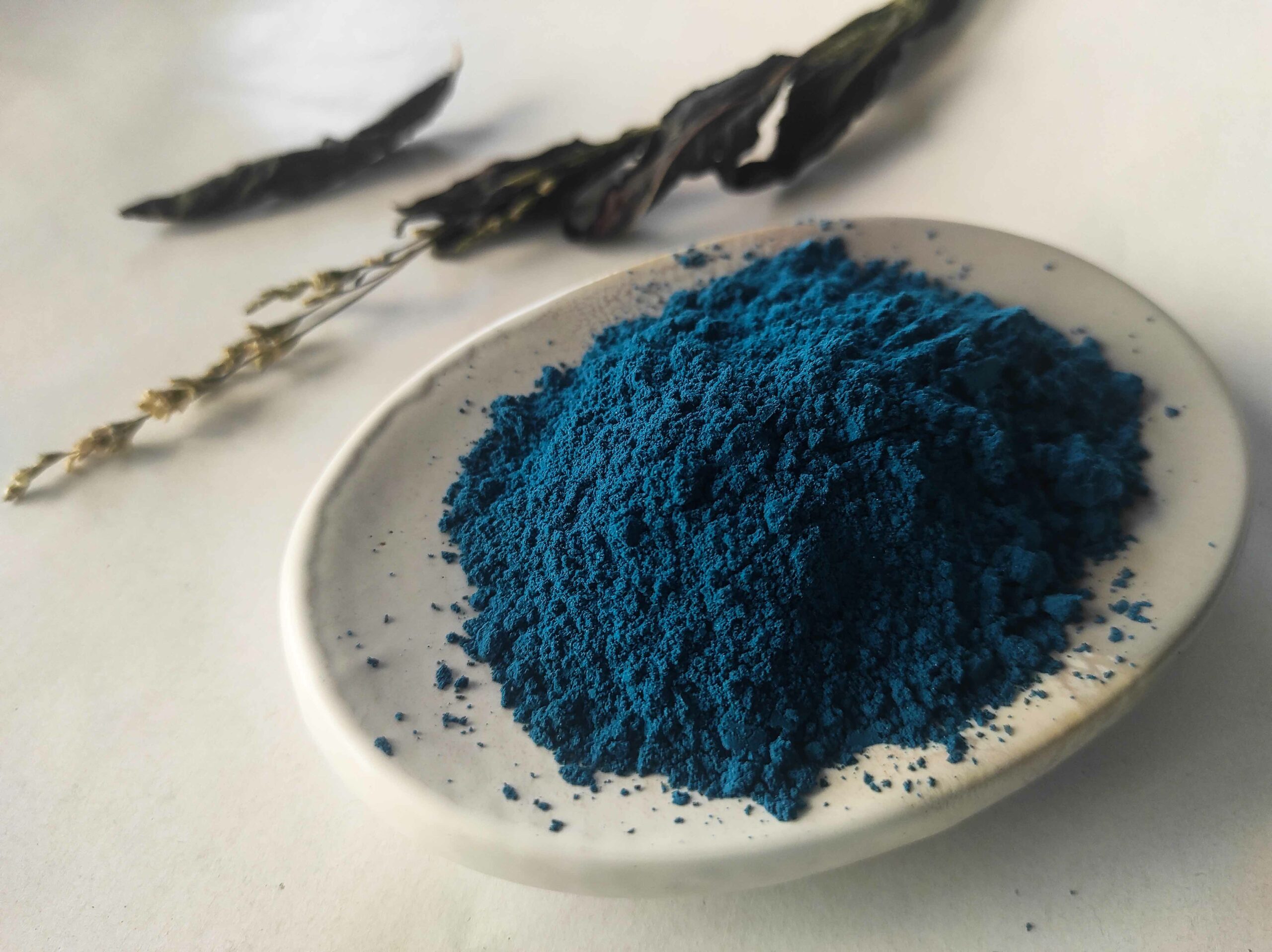poudre pigment Bleu Maya d'un bleu très foncé