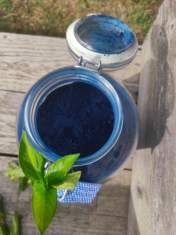 grand pot en verre de pigment bleu indigo