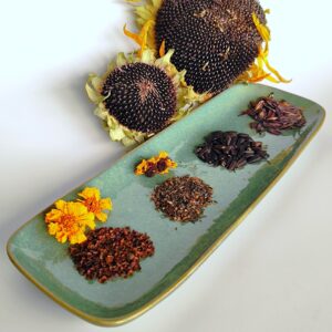 photo de notre lot le jardin des nuances composé de graine de coréopsis lancéolé , coréopsis tinctoria, pastel des teinturiers et tournesol black dye hopi