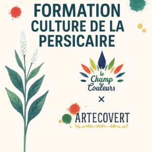 affiche de notre formation de la culture de la persicaire à indigo avec le champ des couleurs et Artecovert